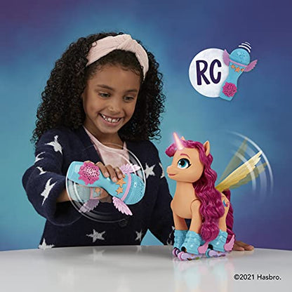 My Little Pony Hasbro Collectibles Big Movie Feature Character